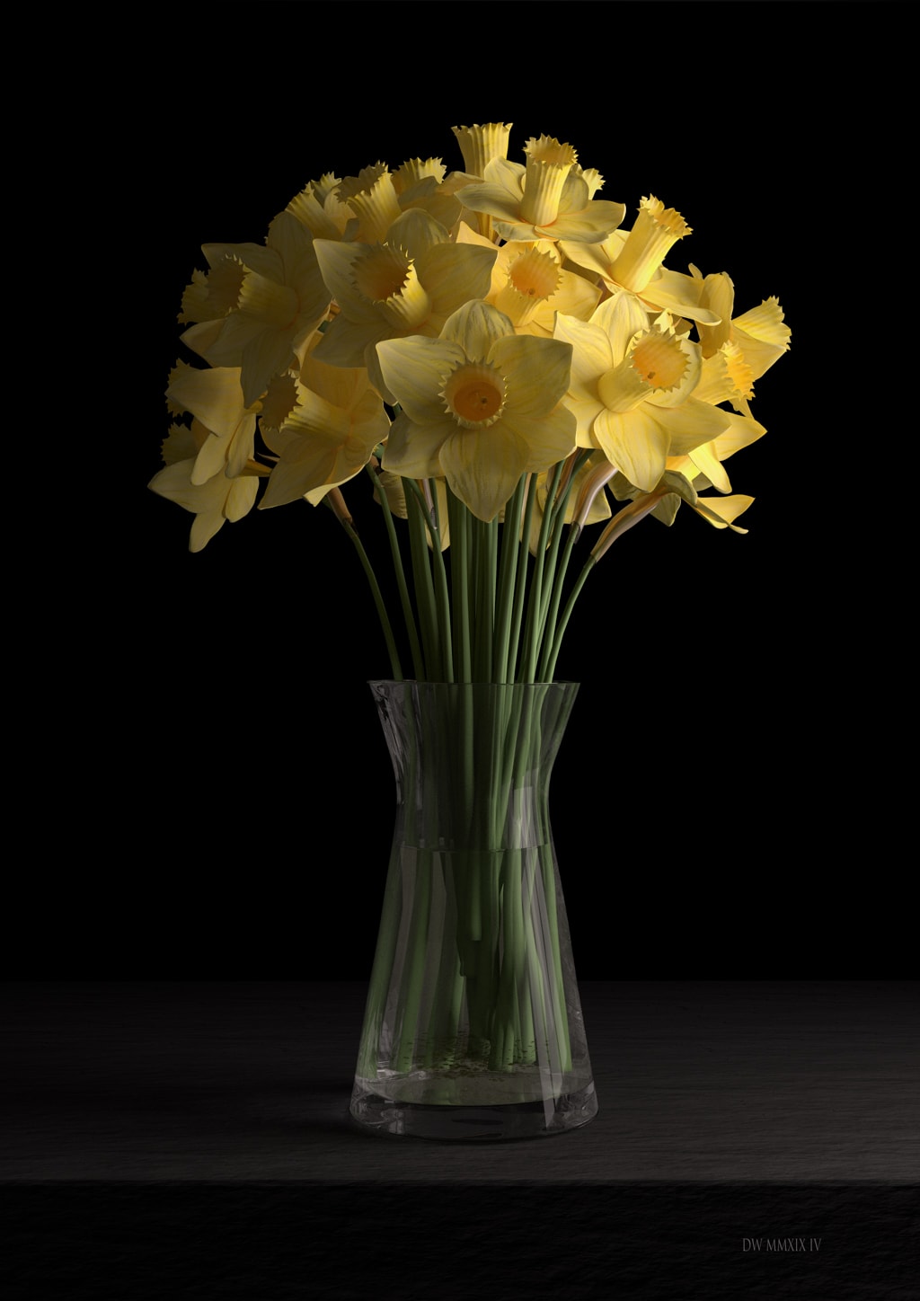 Daffodils