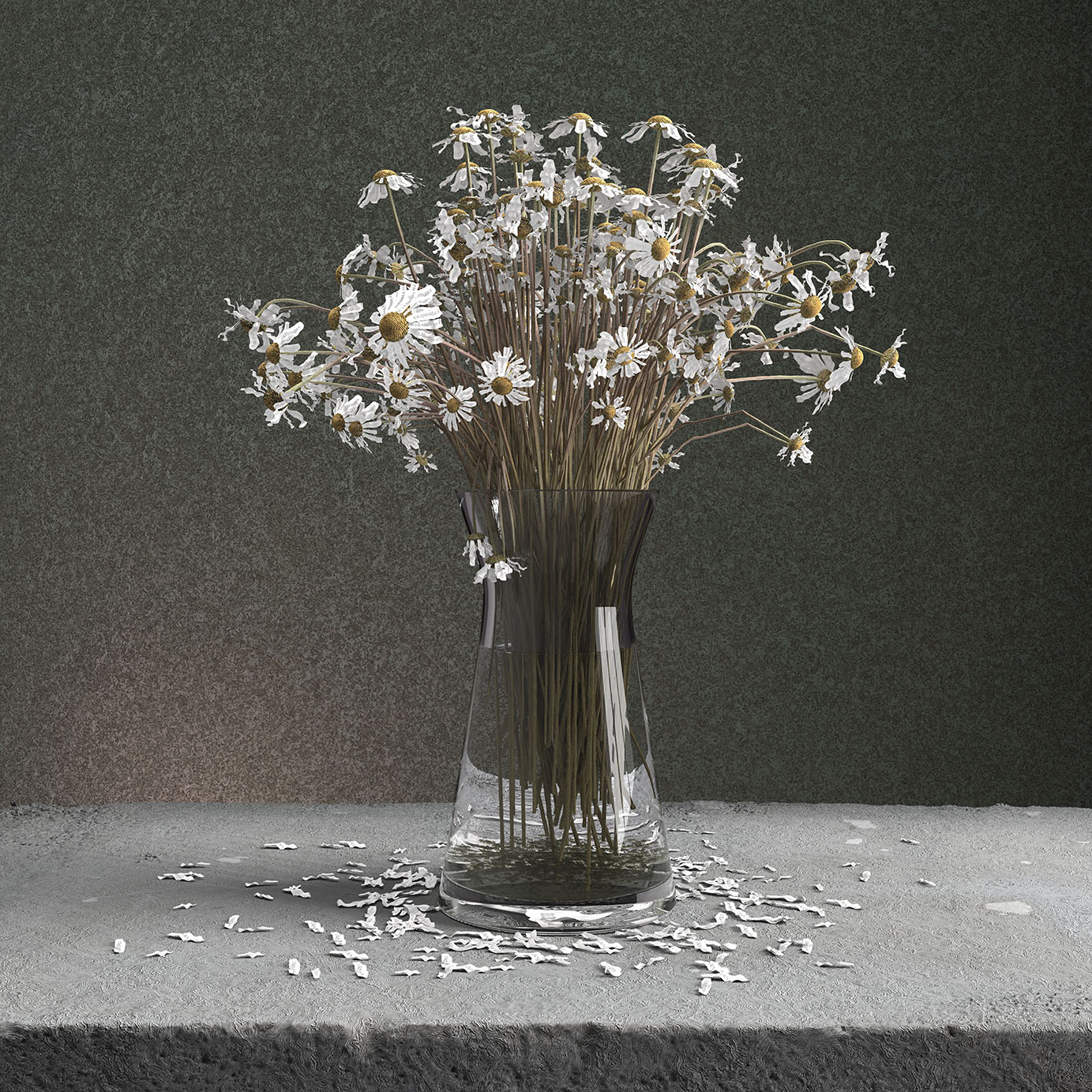 Oxeye 4
